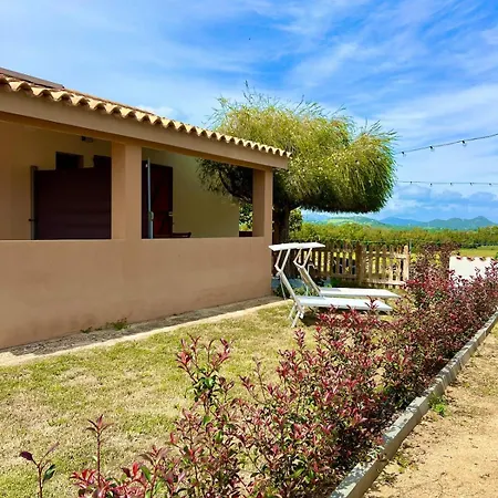 La Collina: Il Maestrale